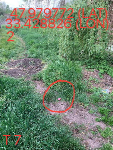 5249025574670823836.jpg