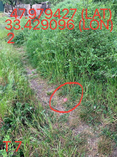 5249367445477650886.jpg
