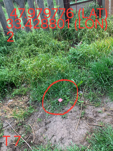 5249025574670823835.jpg