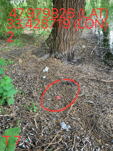 5249025574670823838.jpg