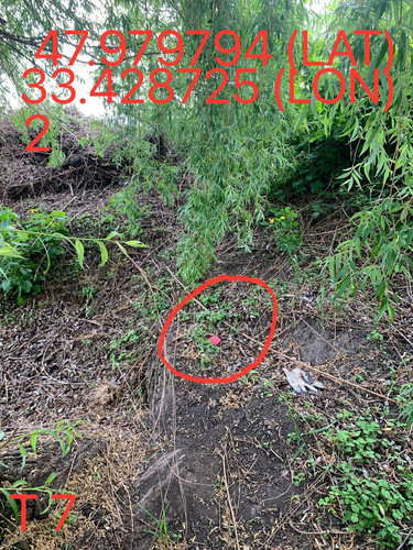 5249025574670823840.jpg
