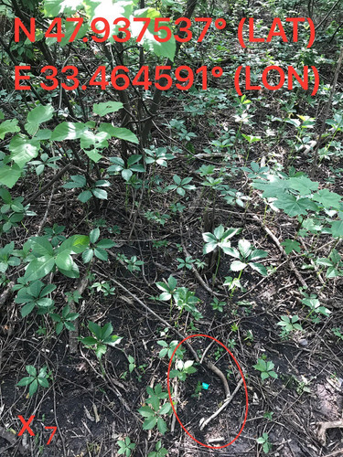 5249095342119581655.jpg