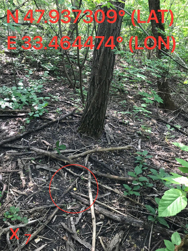 5249095342119581667.jpg