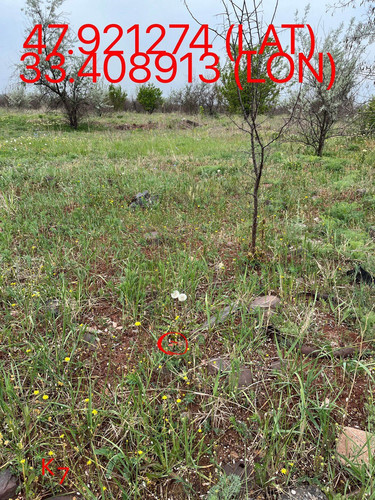 5251569874642267285.jpg