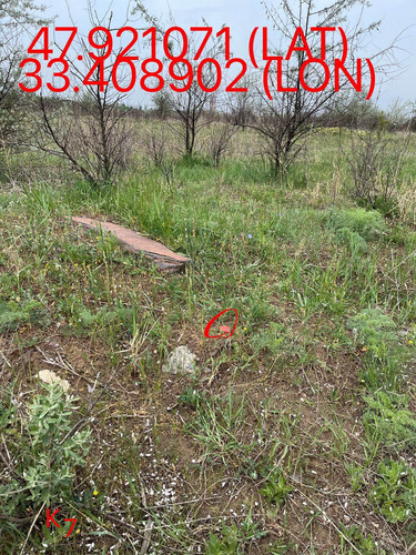 5251569874642267300.jpg