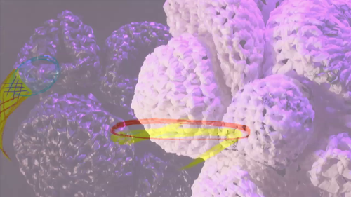 vlcsnap 2025 05 07 12h25m14s773.png