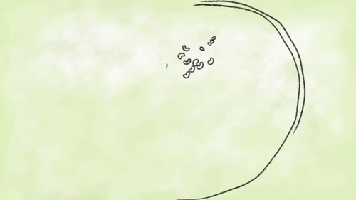 vlcsnap 2025 05 07 12h24m34s270.png