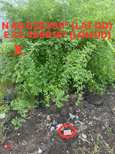 5249273059276354844.jpg