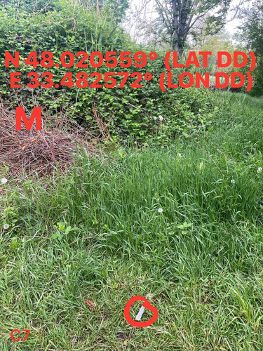 5249273059276354860.jpg