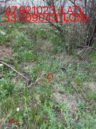 5251569874642267305.jpg