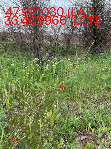 5251569874642267306.jpg