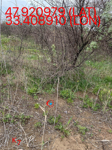 5251569874642267280.jpg