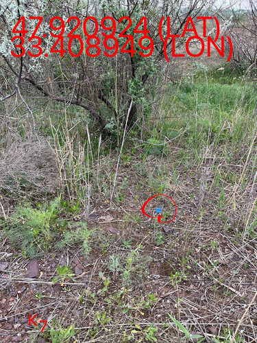 5251569874642267281.jpg