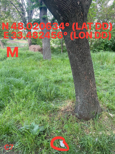 5249273059276354875.jpg