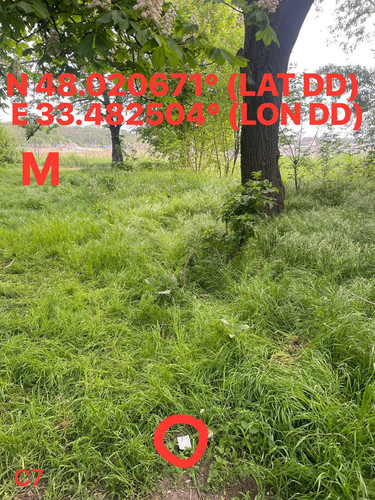 5249273059276354873.jpg