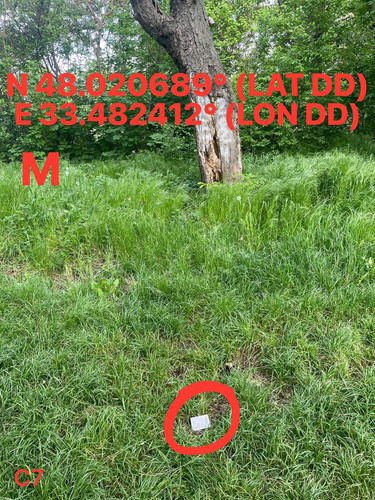 5249273059276354878.jpg