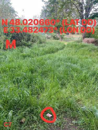5249273059276354874.jpg