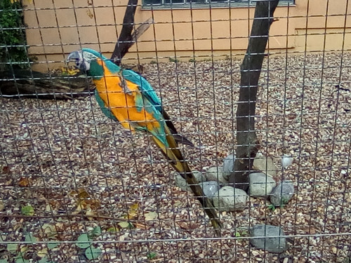 IMG 20191015 161257.jpg