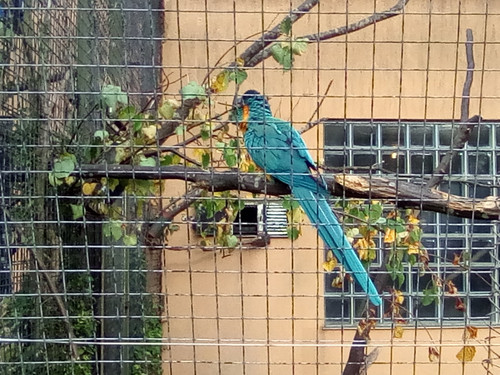 IMG 20191015 161208.jpg