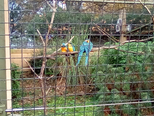 IMG 20191015 161134.jpg