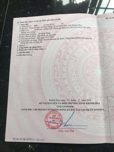 495928224 3597226493920368 2428477337917152773 n.jpg