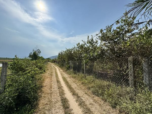 495212660 3597226570587027 7180631202155060049 n.jpg