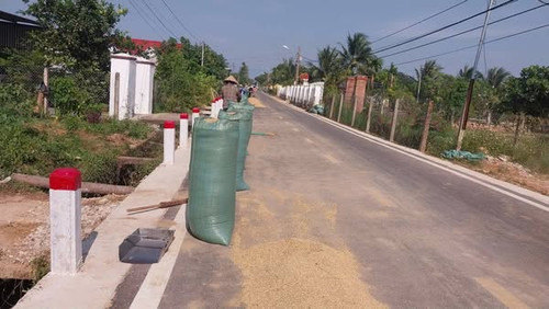 495379296 1193989009087877 3044823234338354125 n.jpg