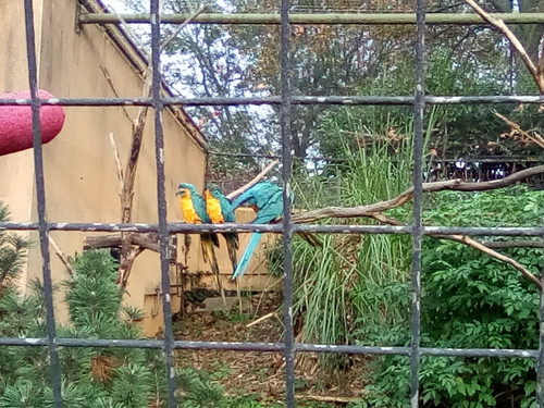 IMG 20191015 161147.jpg