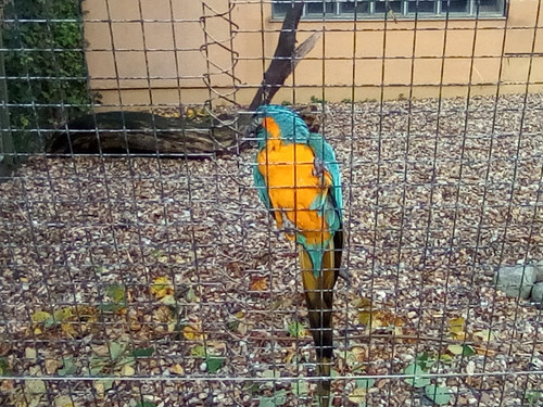 IMG 20191015 161251.jpg