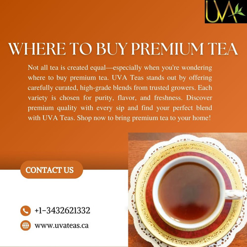 Why Choosing the Right Store Matters When Asking Where to Buy Premium Tea.jpg