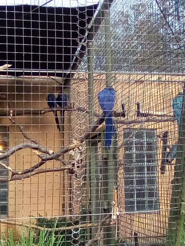 IMG 20191015 161235.jpg