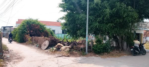 495572478 688303197484522 5882220683481525634 n.jpg