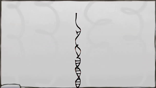 vlcsnap 2025 05 07 14h10m15s617.png