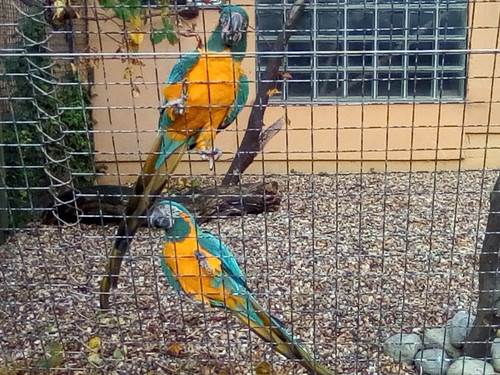IMG 20191015 161300.jpg