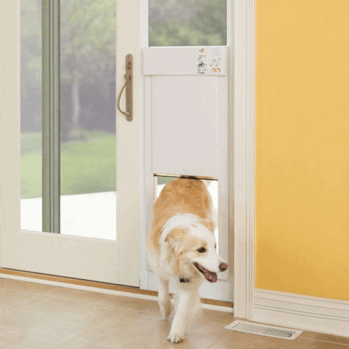 Single French Door with Dog Door Access.gif