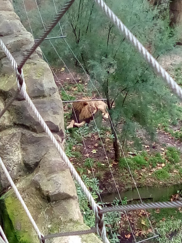 IMG 20191015 155112.jpg