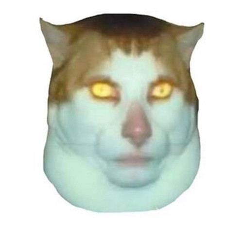 5453892937709637159 1.jpg