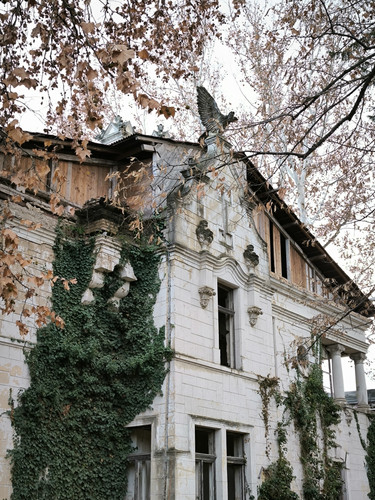 IMG 20241207 132810.jpg