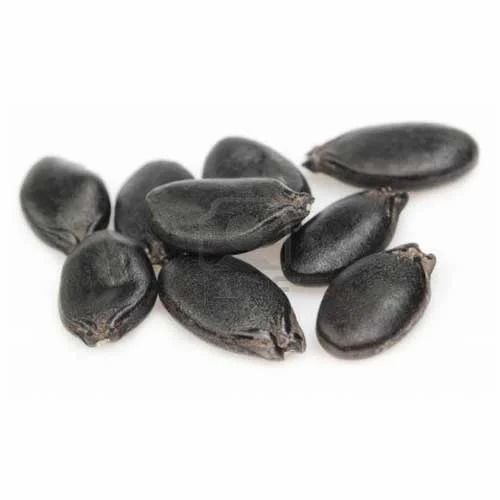 ridge gourd seeds 500x500.jpg
