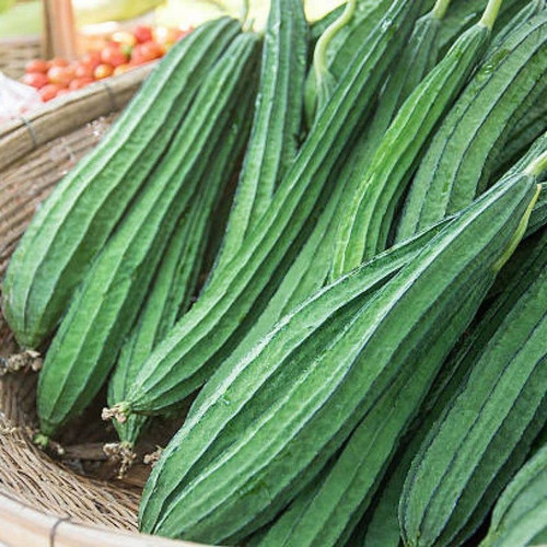 105 dhari tori hybrid vegetable.jpg