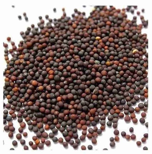 100 cabbage u grow india origina.jpg