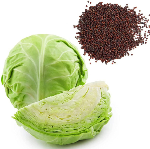 50 1cabbage seeds bdsresolve ori.jpg