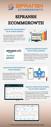 Hire Amazon Consulting Experts in USA and North America to Boost Your Brand.jpg