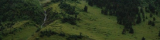 dynasty.png