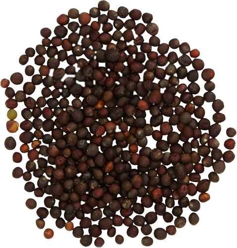 81Cw3Mx8miL. AC UF1000,1000 QL80.jpg