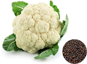 250 cauliflower seeds for kitche.jpg