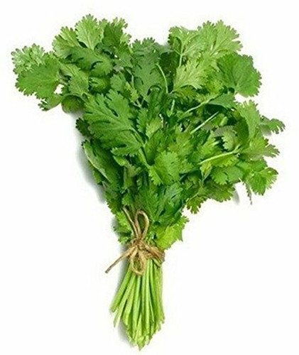 500 coriander seeds kalmi dhaniy.jpg