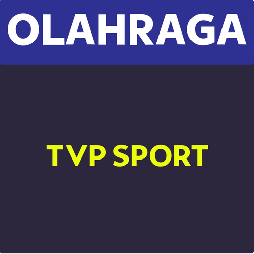 TVP Sport.png