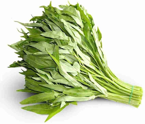 100 1water spinach seeds bdsreso (1).jpg