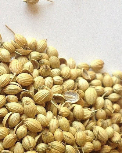 200 whole coriander seeds sabut.jpg